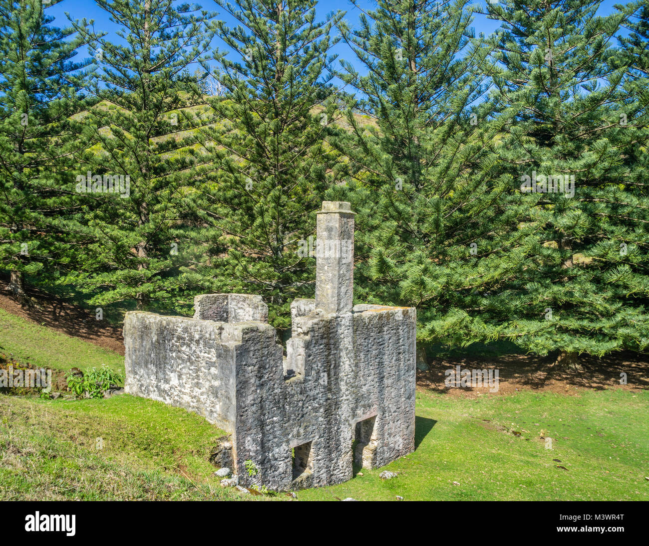 Norfolk Island, Australische externe Territorium, Wassermühle Tal, Ruinen des Zweiten Wassermühle im Jahre 1828 während des Zweiten Strafkolonie errichtet Stockfoto