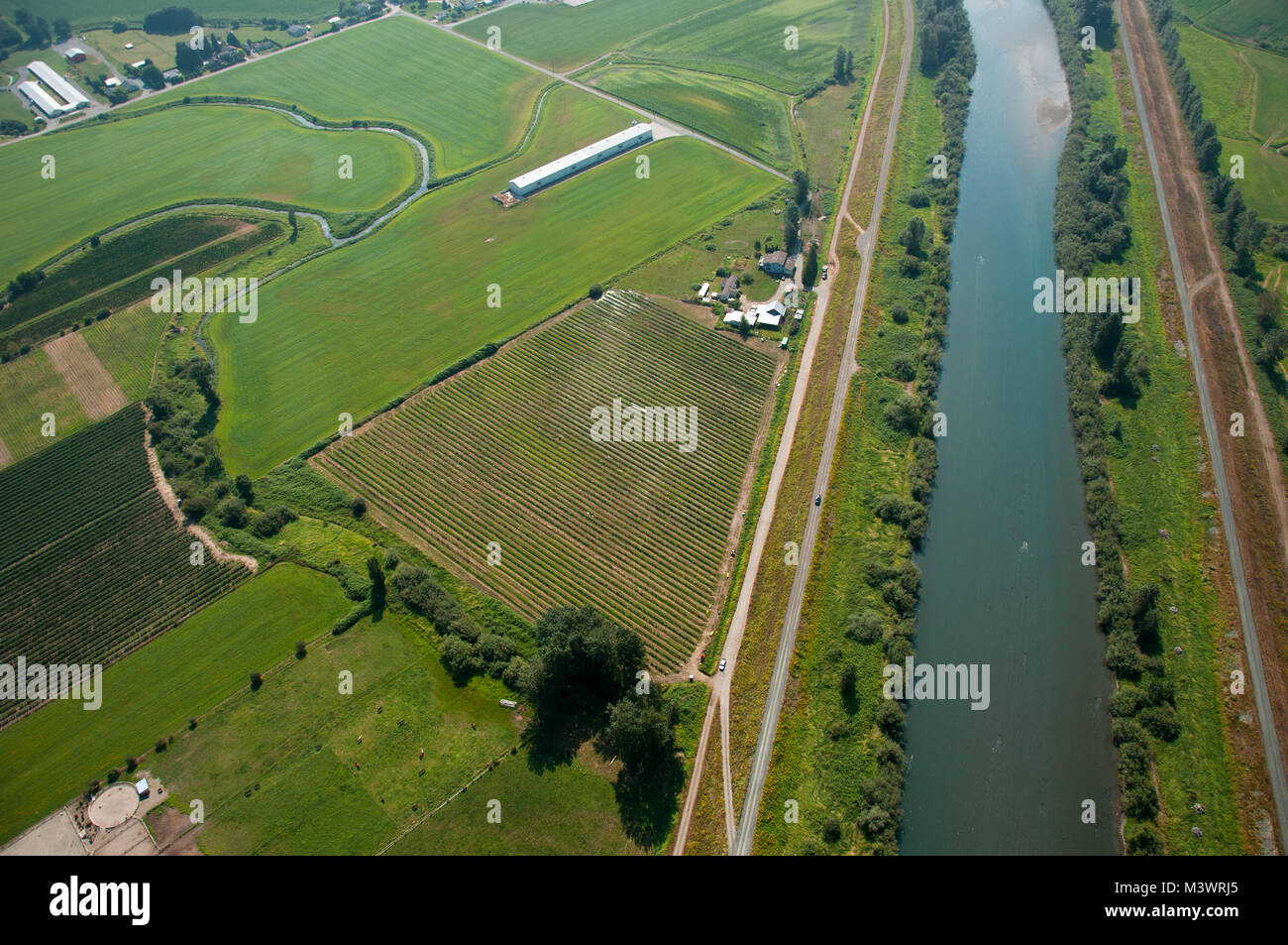 Antenne der Landwirtschaft mit Wasserstraßen und Bewässerungssysteme. Natur Wege in der Nähe von Canal für Walking, Running und gesunden umweltfreundlichen Aktivitäten. Stockfoto