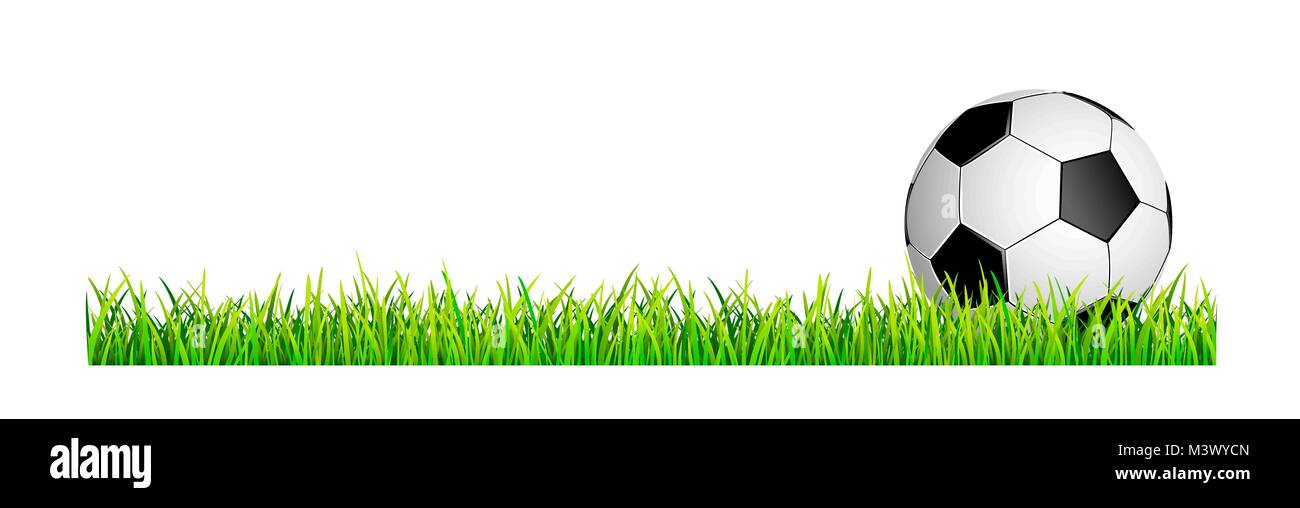 Fußball auf einem grünen Rasen. Banner mit Fußball und Rasen. Fußball auf dem grünen Rasen. Stock Vektor