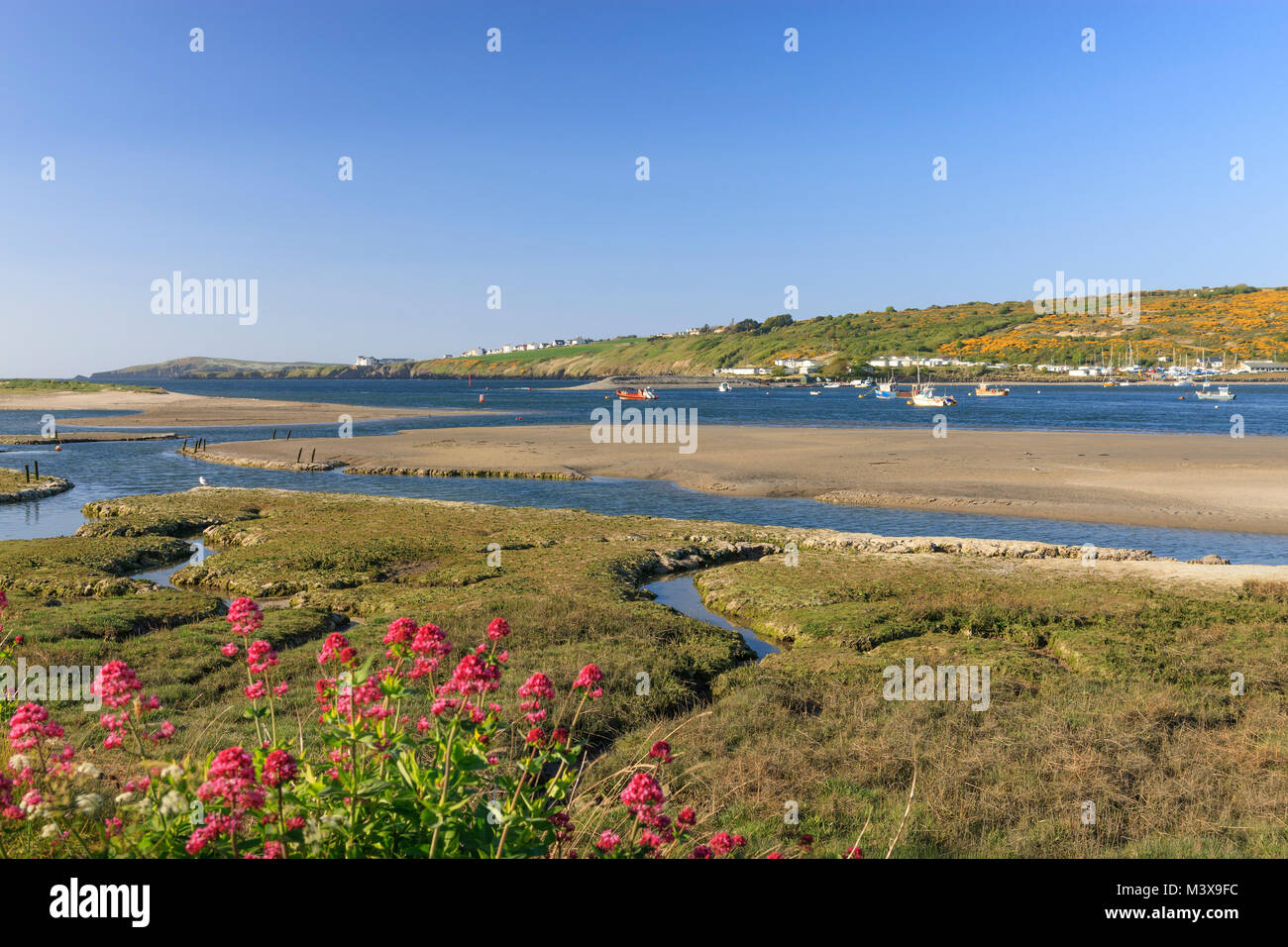 Ventilkegel Sands Newport Pembrokeshire Wales Stockfoto