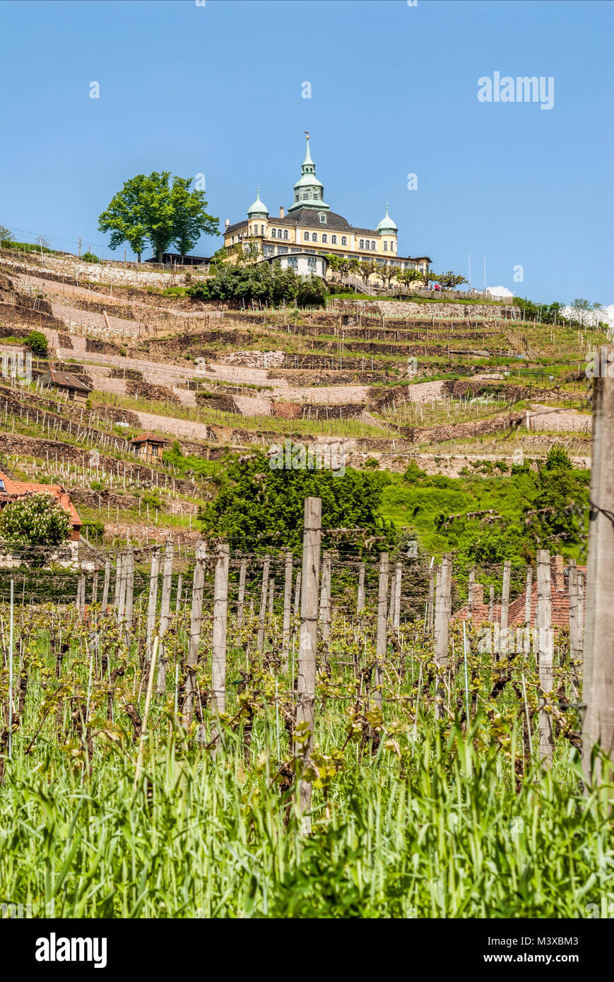 Spitzhaus ein Wahrzeichen, das 1622 in den Weinbergen von Radebeul, Sachsen, erbaut wurde Stockfoto