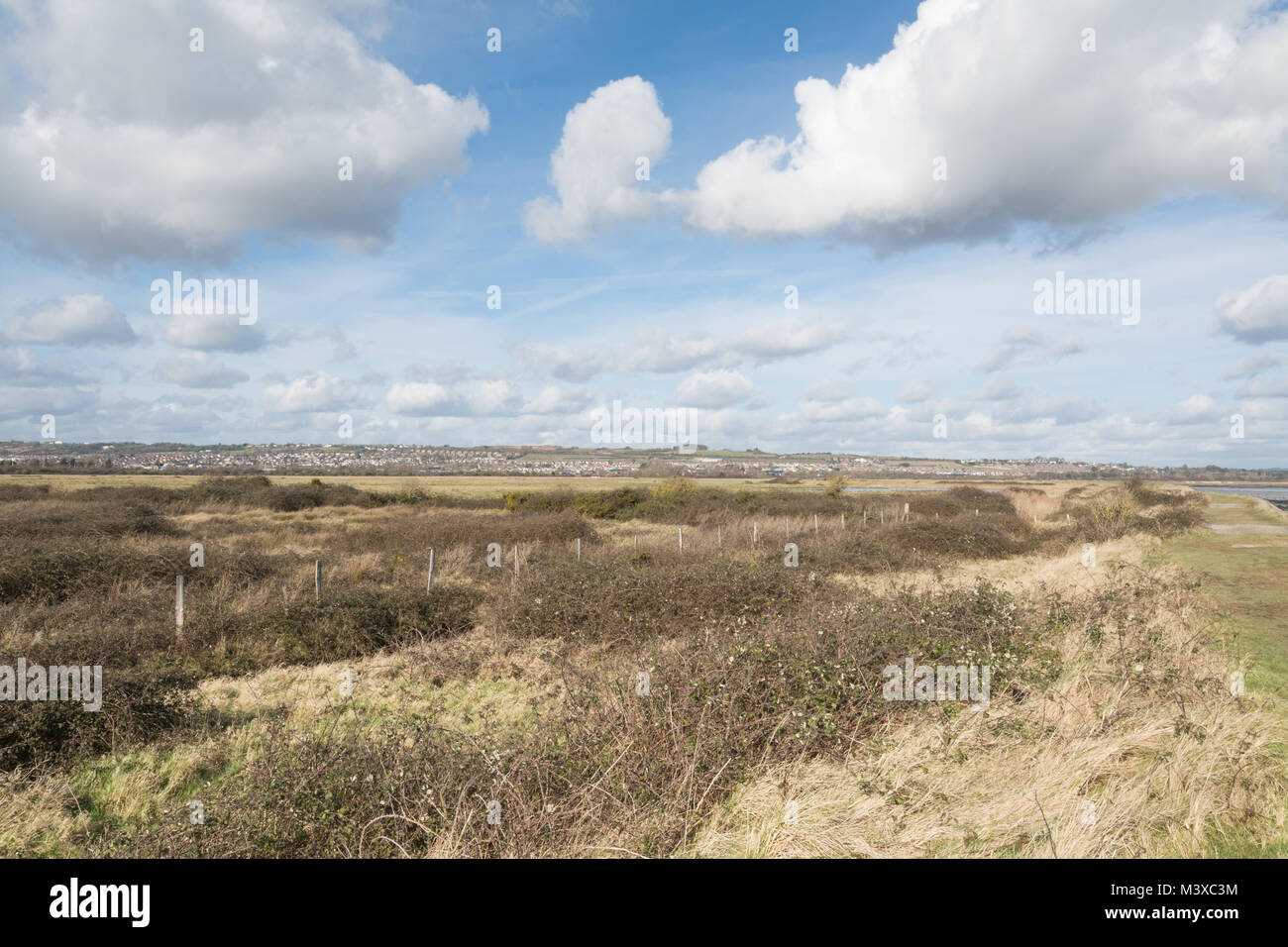 Winterlandschaft an farlington Sümpfe Nature Reserve in der Nähe von Portsmouth in Hampshire, Großbritannien - ein wichtiger Lebensraum für Vögel und andere Tiere Stockfoto