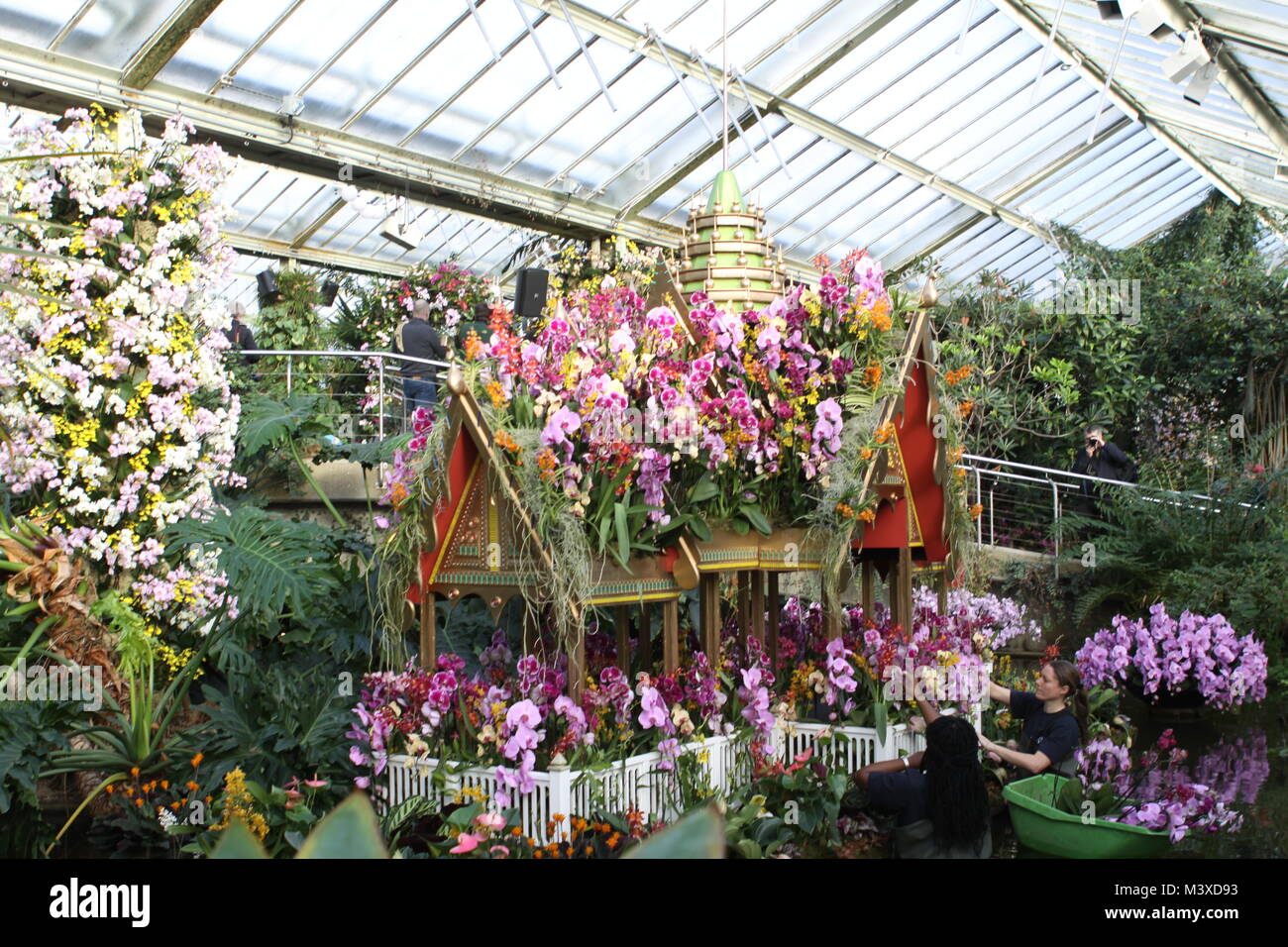 Orchideen Festival in Kew Gardens London 2018 Stockfoto
