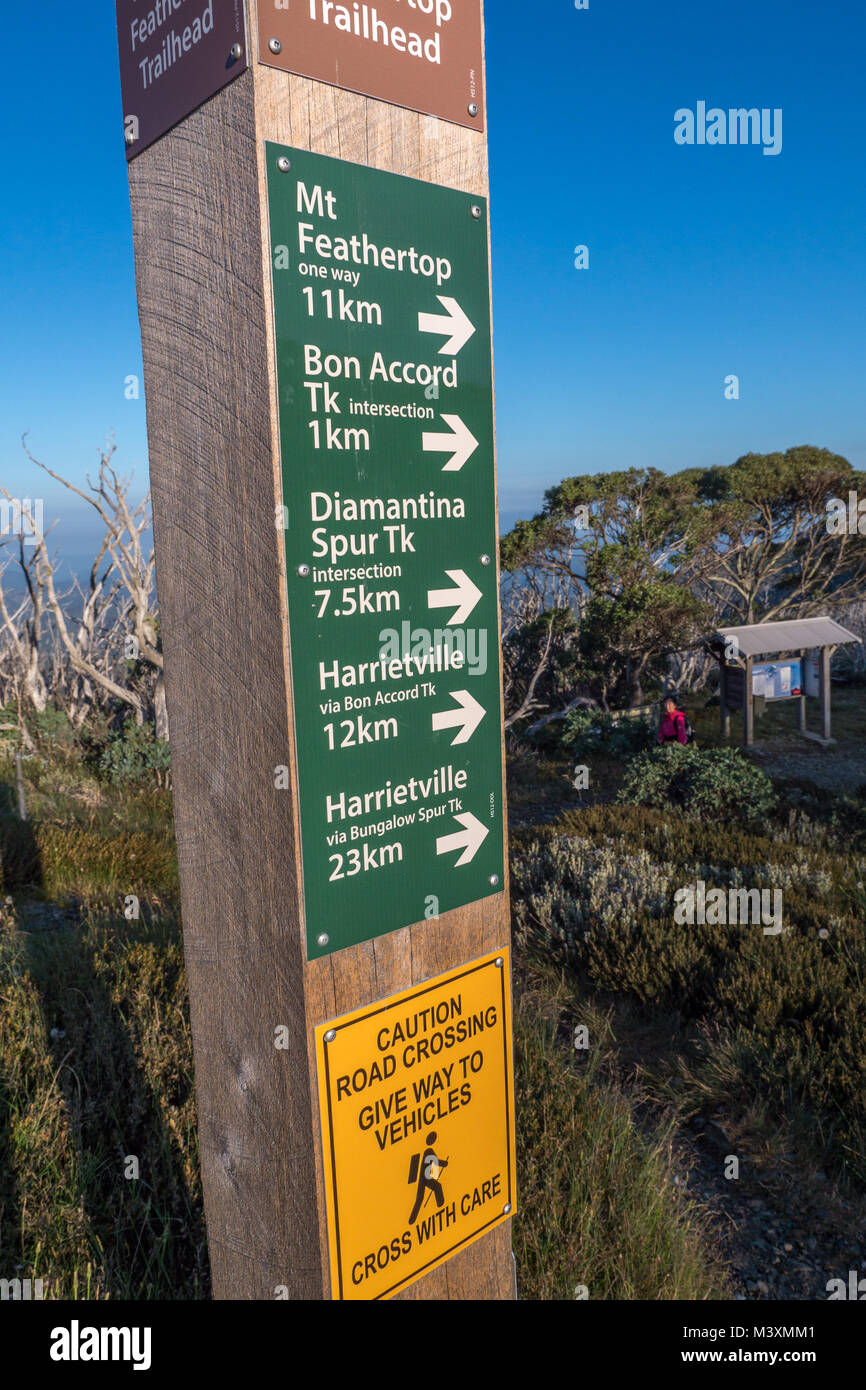 Hohes Holz- Trail Head Schild mit grünen und weißen Schriftzug, Trails und Strecken mit tiefblauen Himmel und Schnee Gummis im Hintergrund. Stockfoto