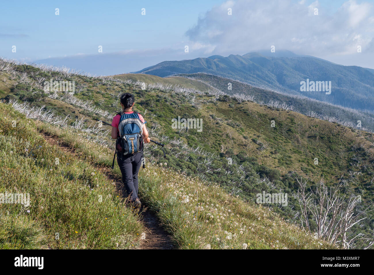 Asiatische Frau Wanderer mit schwarzen Hosen, rosa Top trägt blaue Rucksack wandern in den Bergen mit Trail, Grate und Gipfel im Hintergrund. Stockfoto
