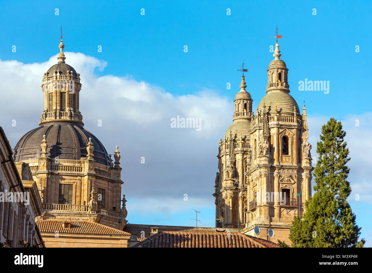 Das Dach der Kathedrale von Salamanca in Spanien Stockfoto