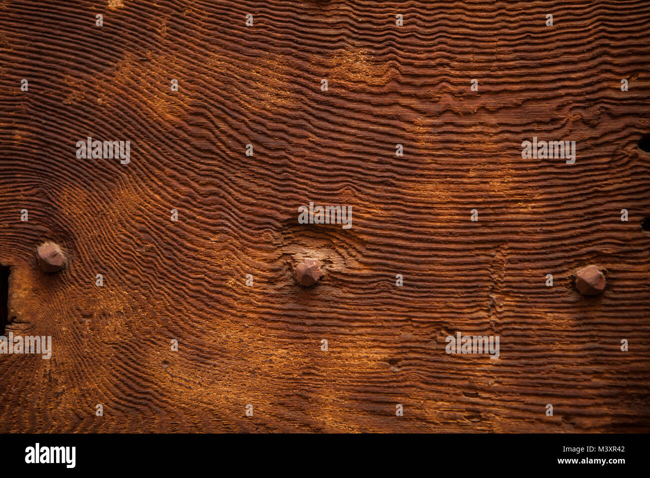 Antike hölzerne Tür in Rom, Italien. Hintergrund Textur. Stockfoto