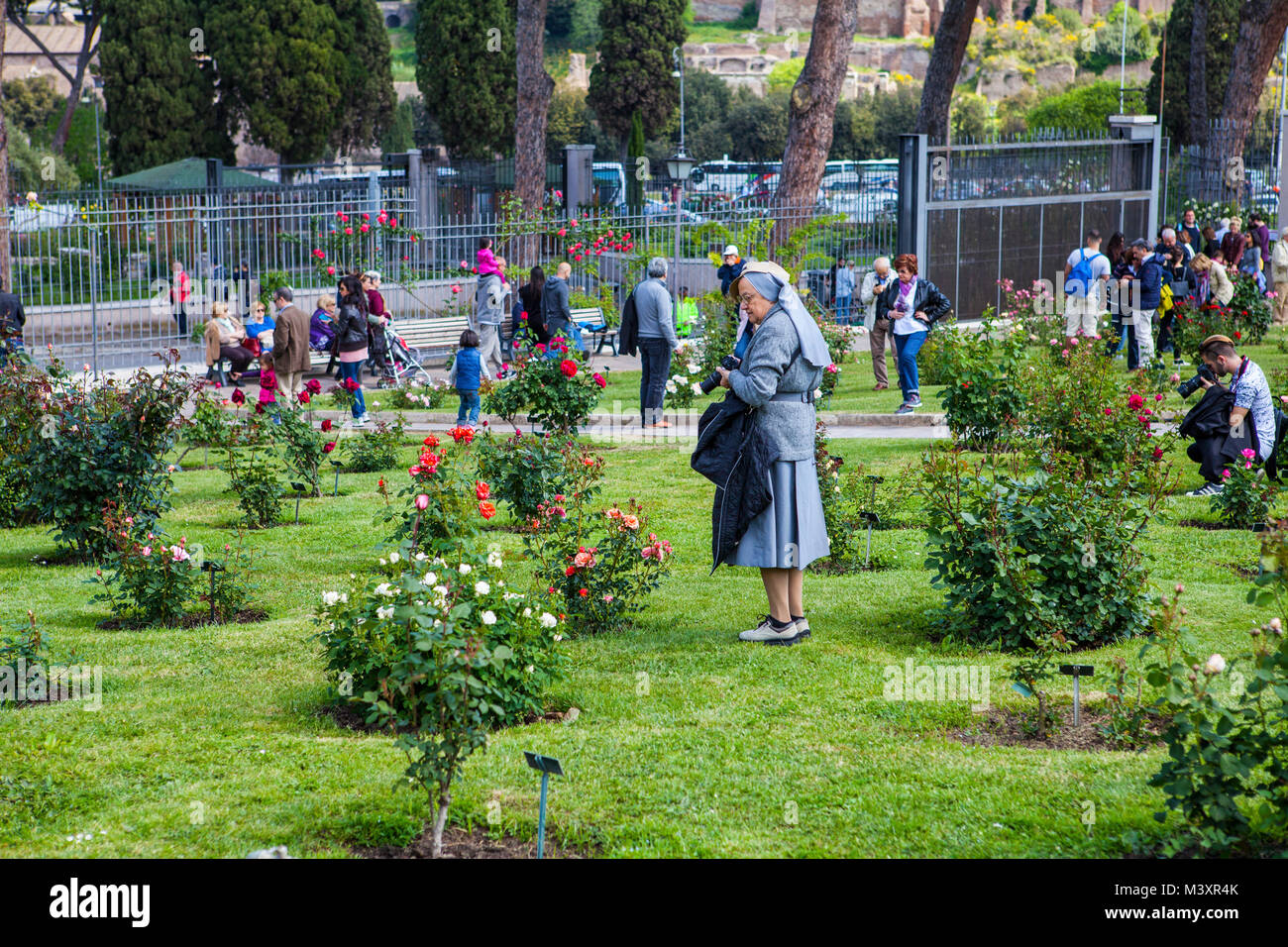 Rom, Italien, 22. April 2017: Die berühmten Municipal Rose Garden auf dem Aventino Hügel im Zentrum von Rom. Es ist geöffnet im Frühjahr und Sommer und Stockfoto