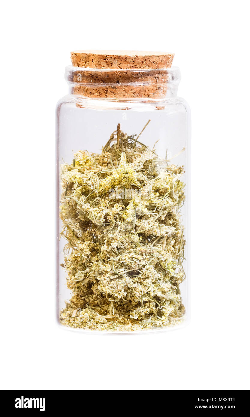 Daucus carota Möhre in einer Flasche mit Korken Stopfen für mich Stockfoto