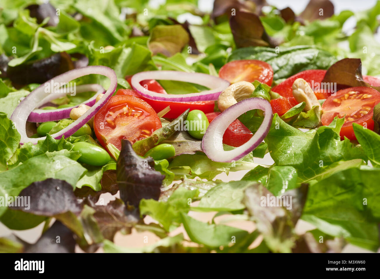 Nahaufnahme der frischen und gesunden Salat und Sandwich Zutaten Stockfoto