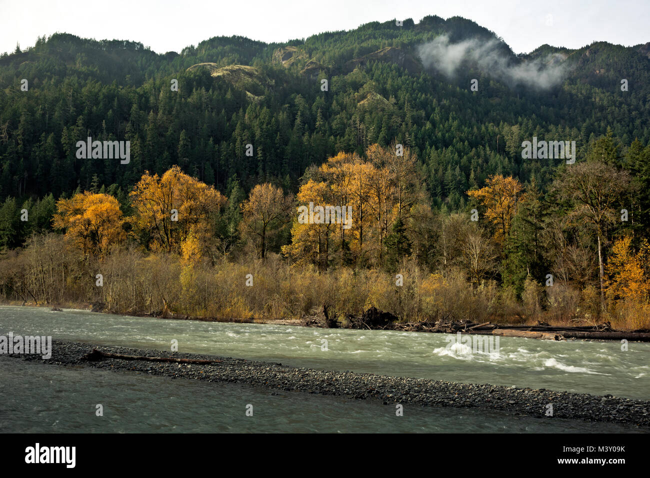 WA 13370-00 ... WASHINGTON - Elwha River Running Wild und frei, wie ein Fluss. Stockfoto