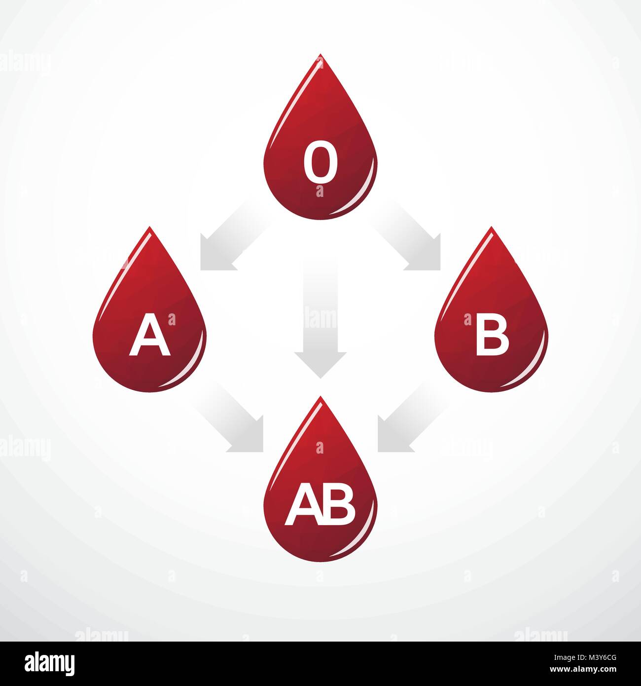 Einfaches Diagramm der Blutgruppe Kompatibilität Stock Vektor
