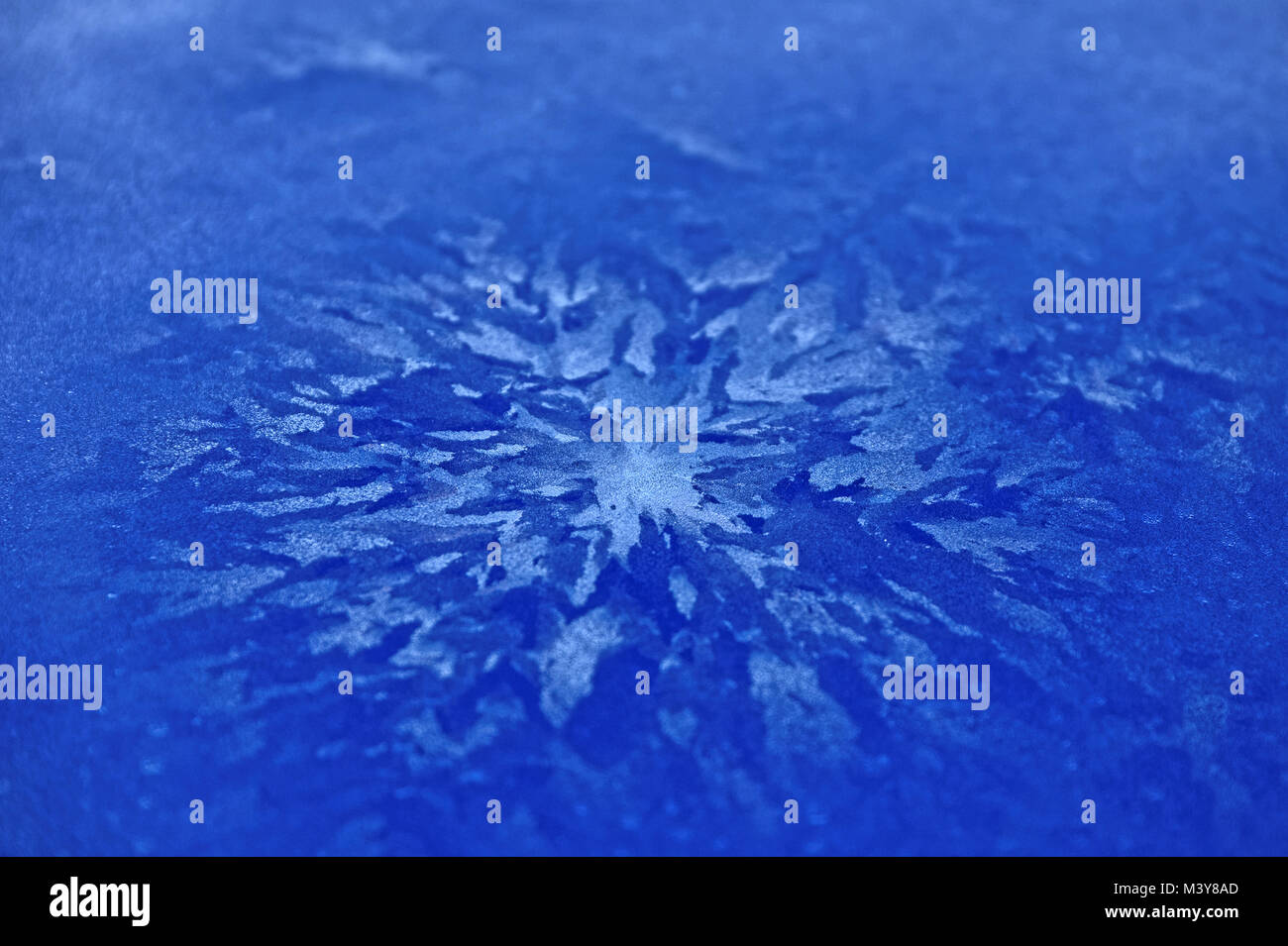 Blumen eis Muster auf die Karosserie von einem blauen Auto Stockfoto