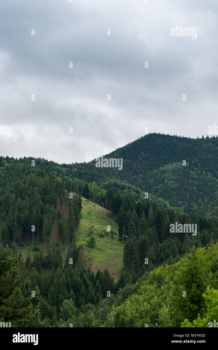 Blick von der Burg Strecno Stockfoto