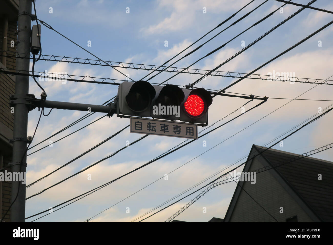 Eine Ampel für Radfahrer in Tokio, Japan Stockfoto