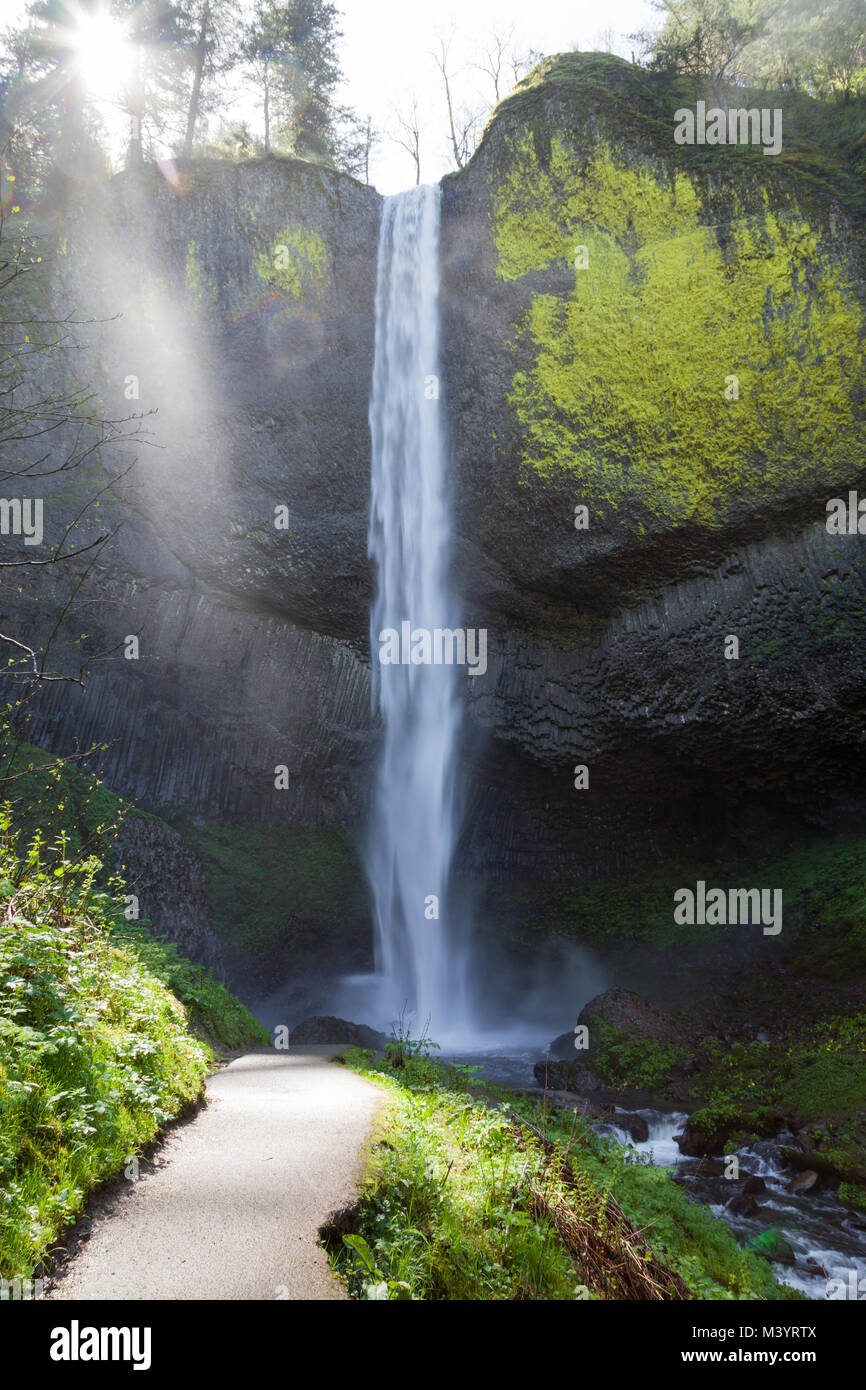 Ein gepflasterter Weg, der zu einem spektakulären Blick auf latourell Falls Kaskadierung über eine Felswand mit hellen Moos und dynamische Sonnenschein, Al befindet. Stockfoto