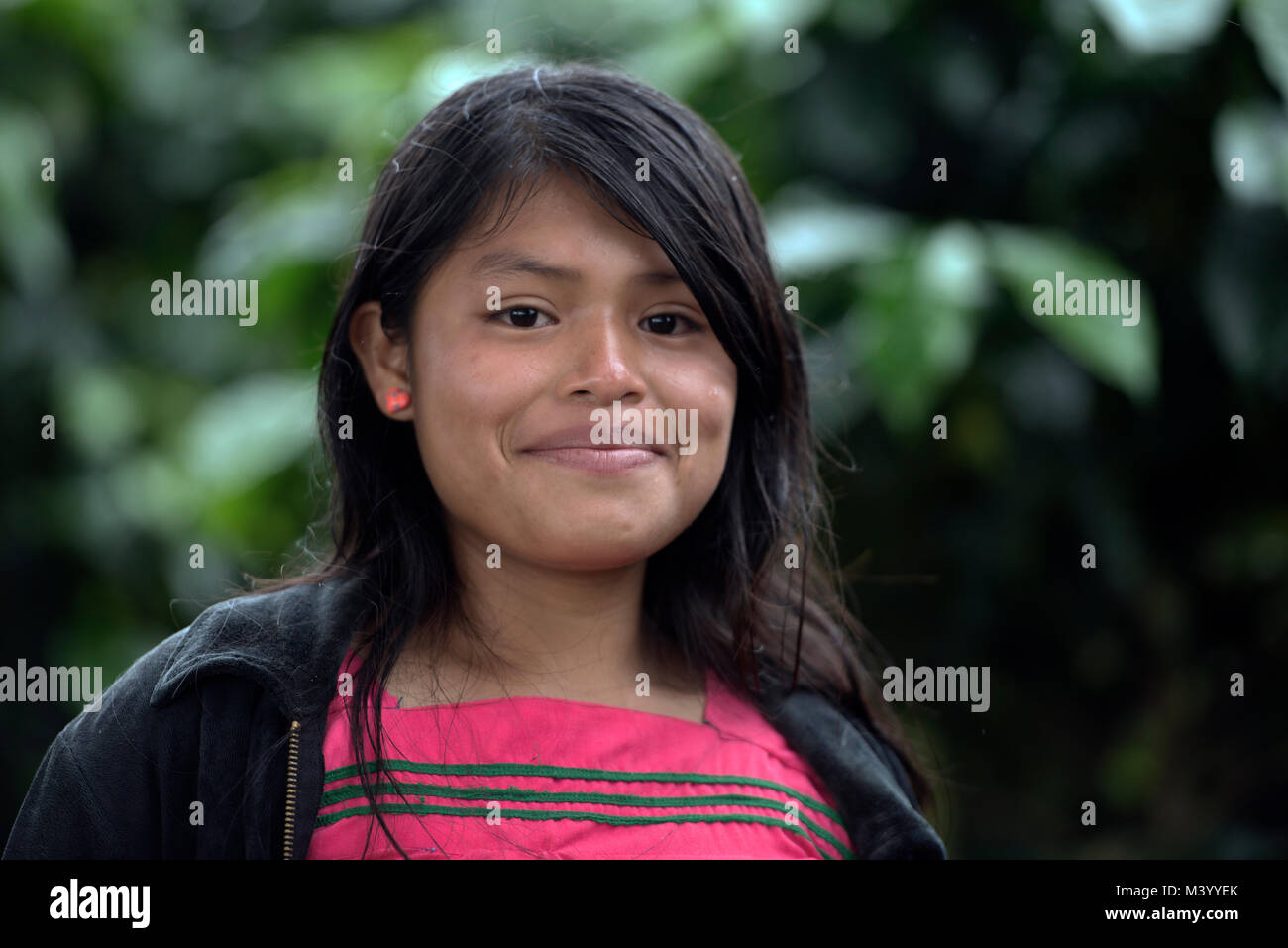 Eine Ngäbe-Bugle teenaged Mädchen arbeiten auf einer Kaffeeplantage in Boquete, Provinz Chiriquí, Panama. Stockfoto