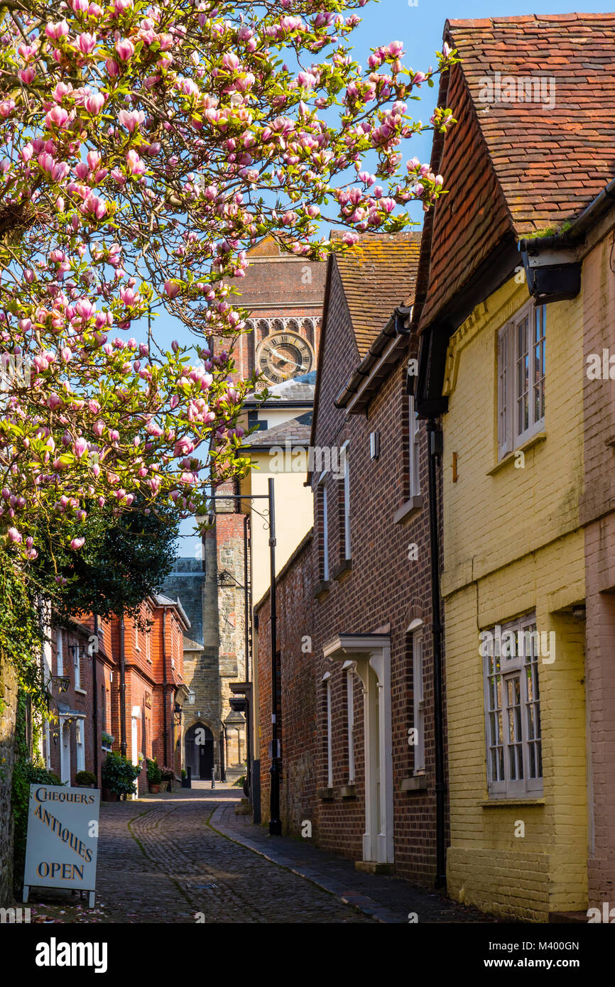 Lombard Street Petworth West Sussex England Stockfoto