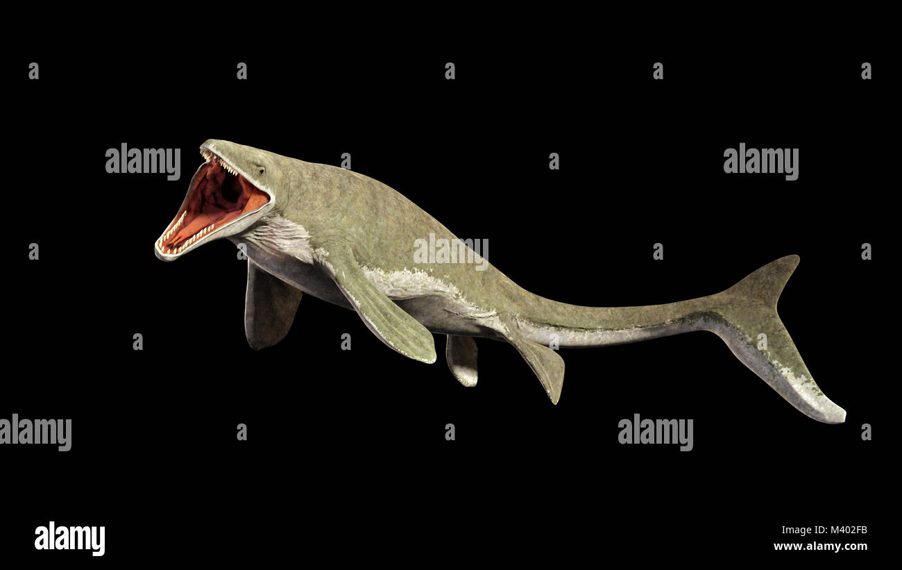 Liopleurodon, Ausgestorbenen riesigen aquatischen Lizard (3D-Darstellung auf schwarzem Hintergrund isoliert) Stockfoto
