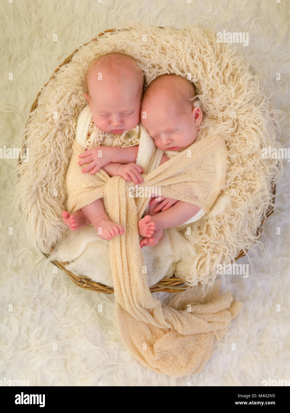 Entzückende Neugeborene eineiigen Zwilling Baby Mädchen schlafen in einem weichen Korb Stockfoto