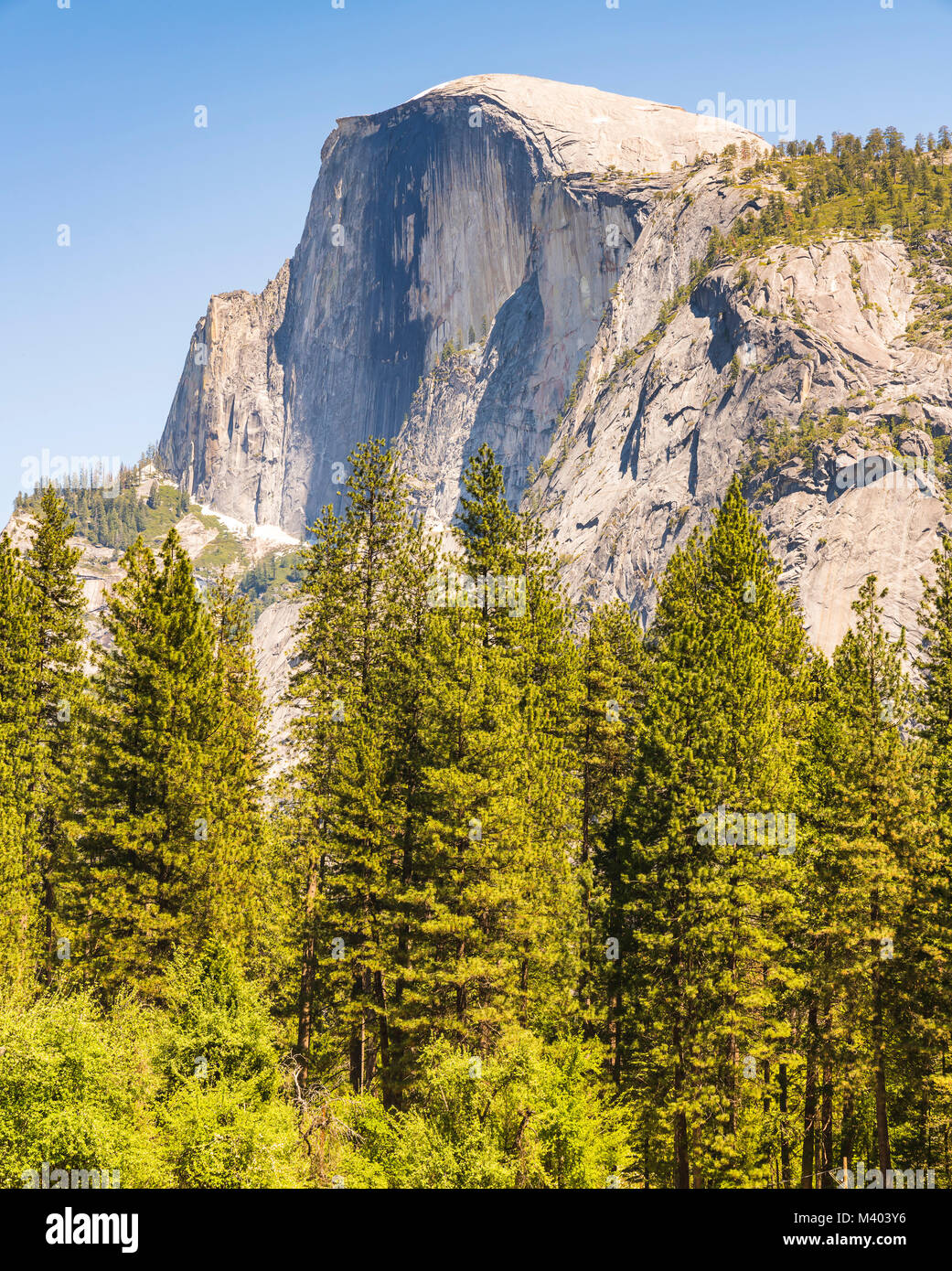 Half Dome an an einem sonnigen Tag, Yosemite Nationalpark, Kalifornien, USA. Stockfoto