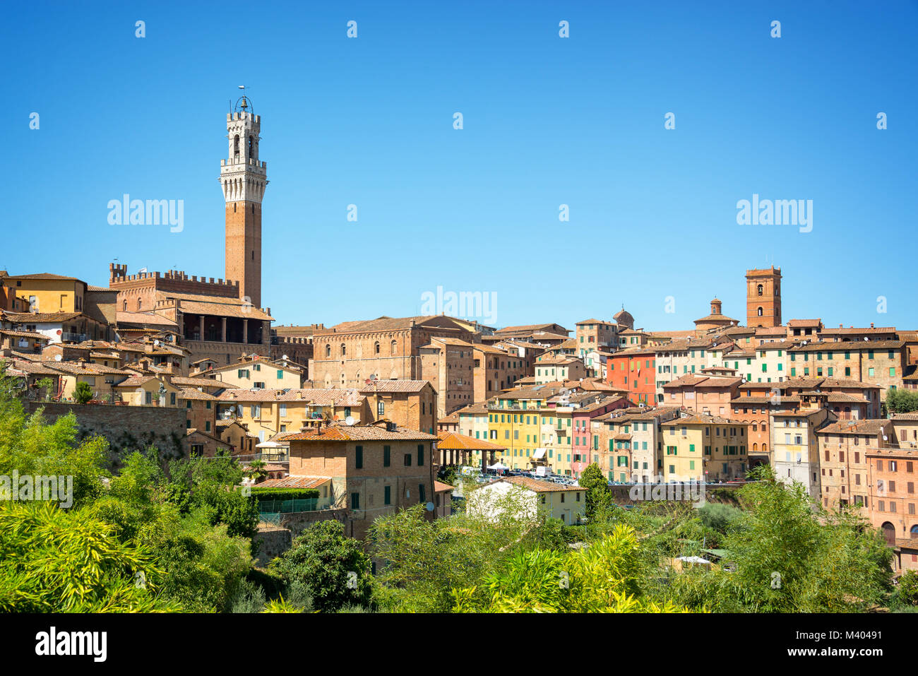 Stadtbild von Siena, Luftaufnahme mit dem Torre del Mangia, Toskana, Italien Stockfoto
