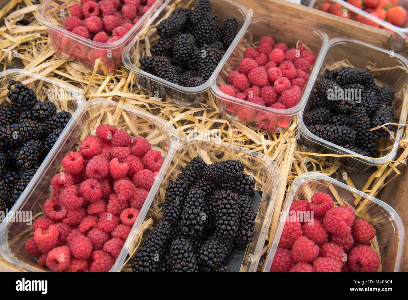 Karaka Brombeeren und Himbeeren auf einen Bauernmarkt in Angus, Schottland. Stockfoto