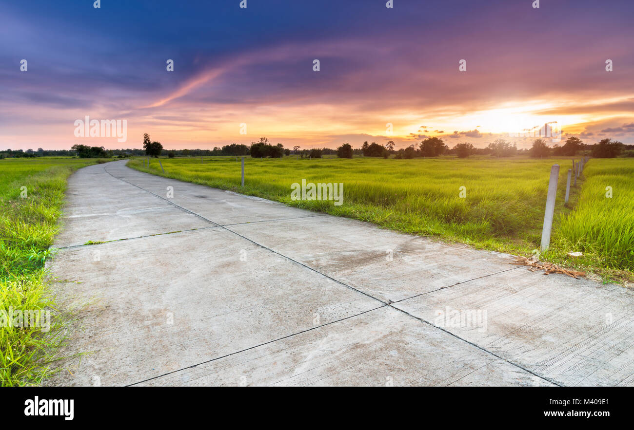 Zementierte Straße im Grünen auf dem Land mit einem Sonnenuntergang die gedämpfte Beleuchtung. Stockfoto