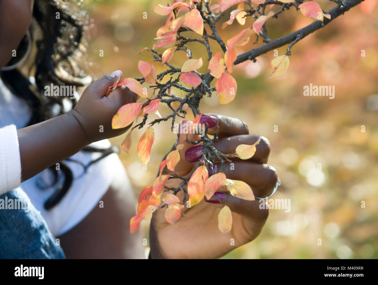 Mutter und Baby lifestyle Schießen, verbringt die letzten warmen Tage fallen unter den bunten Bäume und Laub. Die Erkundung der Oktober Landschaft. Stockfoto
