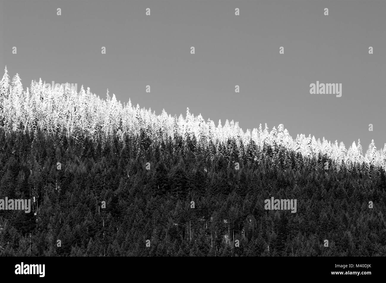 Frosted Bergrücken in British Columbia, Kanada in Schwarzweiß. Stockfoto