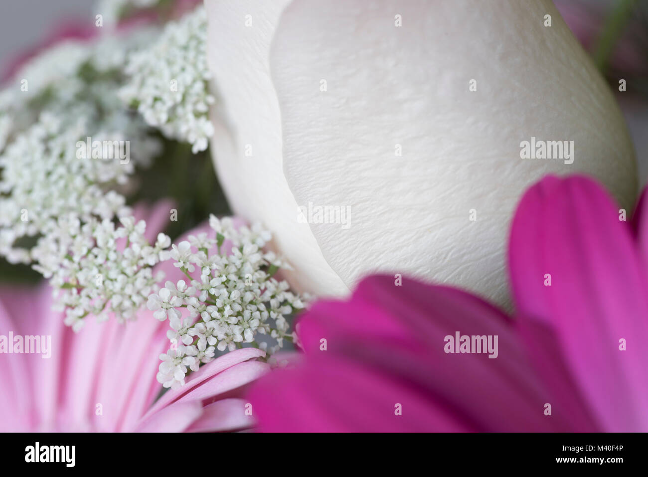 Abstrakte Nahaufnahme der Blumenstrauß mit Gerbera Daisies, eine Rose, und Baby's Atem Stockfoto