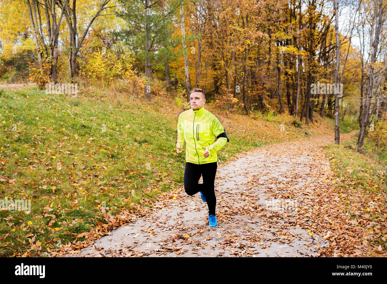 Junge Athlet mit Smartphone laufen im Park im Herbst. Stockfoto