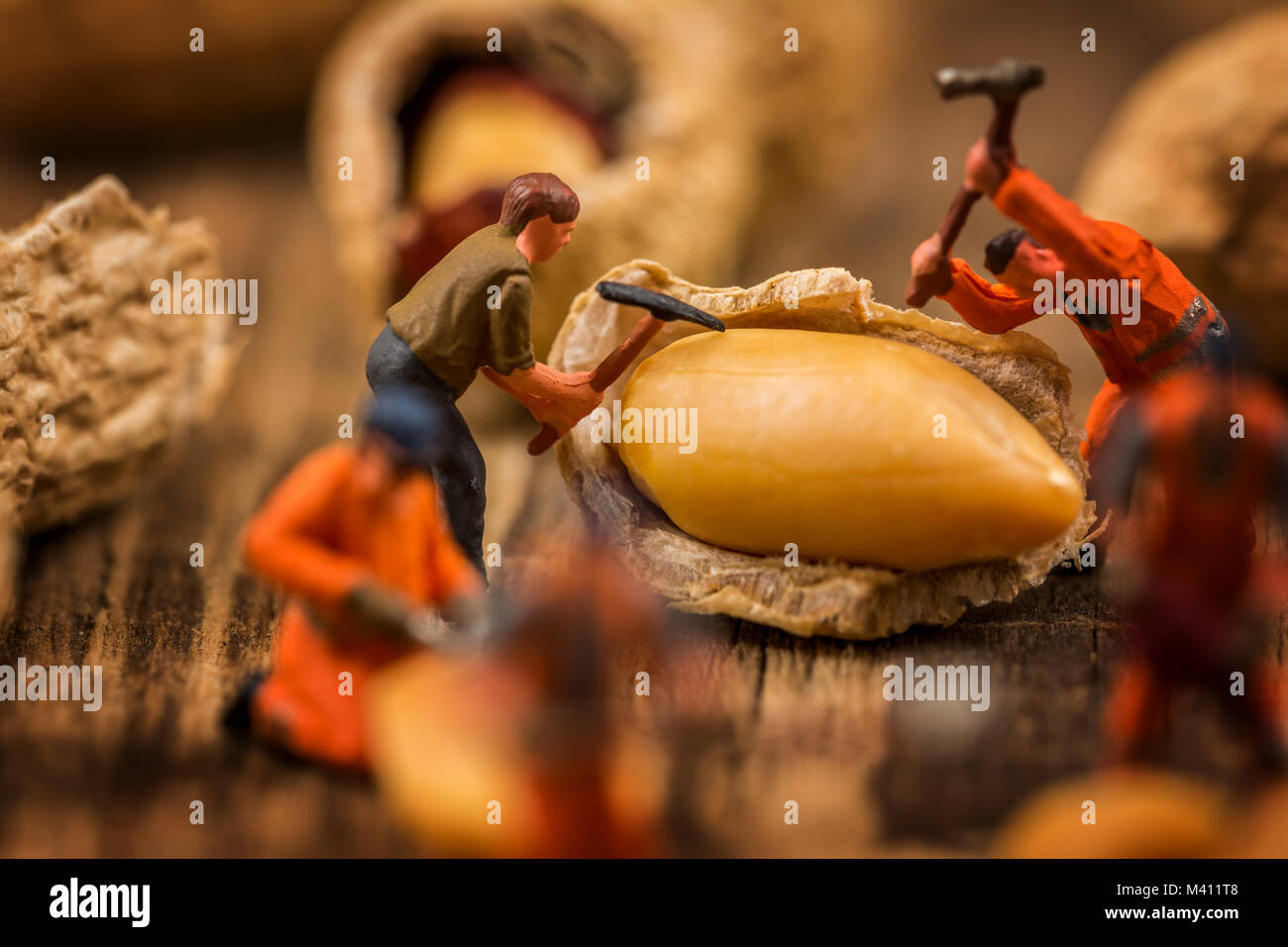 Miniatur Figuren arbeiten an Erdnüsse Makro Fotografie auf Holz Tisch Stockfoto