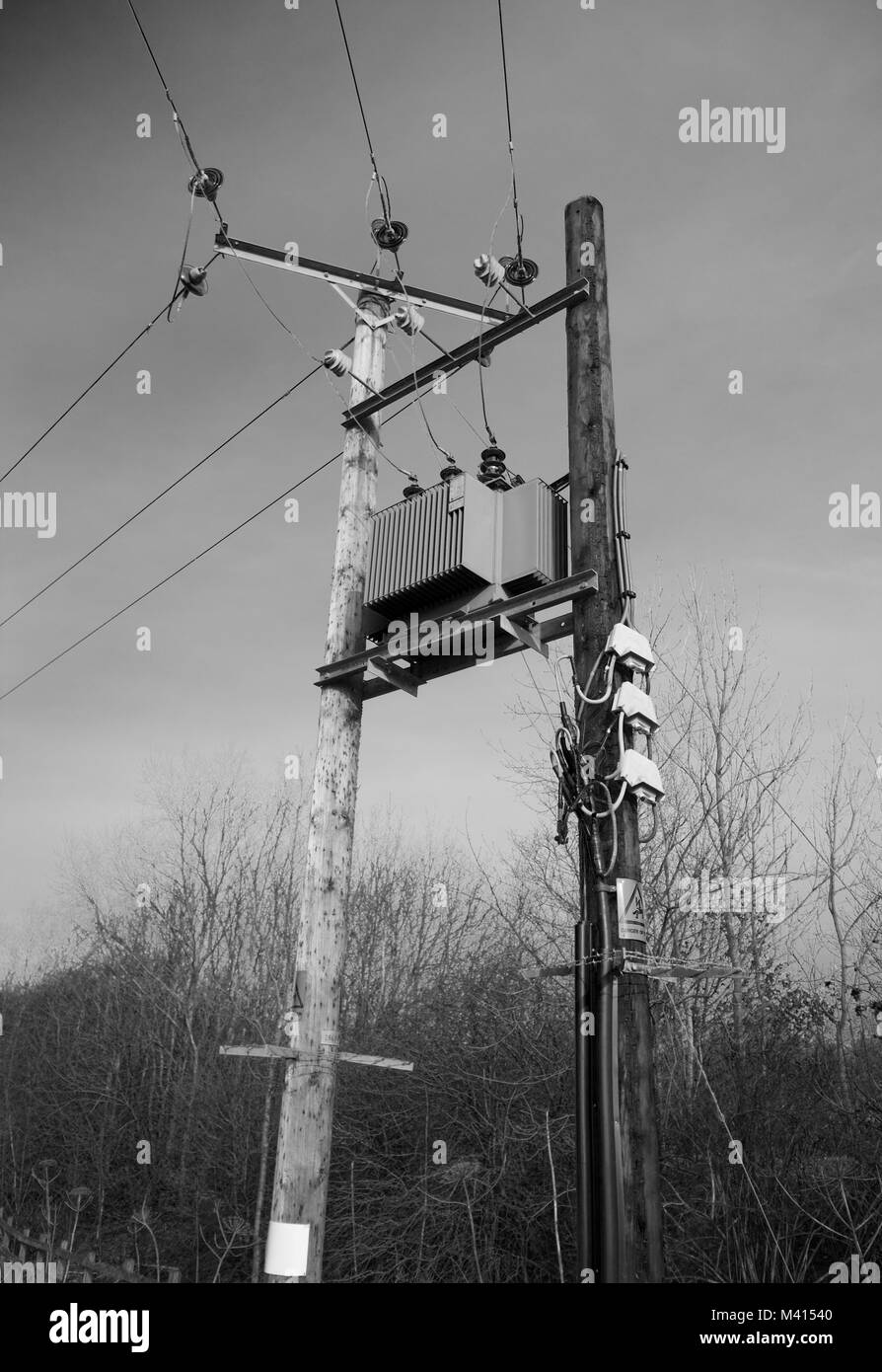 Ein Power Distribution Box auf einem siloflansches Pylon. Das Foto wurde im ländlichen Schottland, Vereinigtes Königreich. Stockfoto