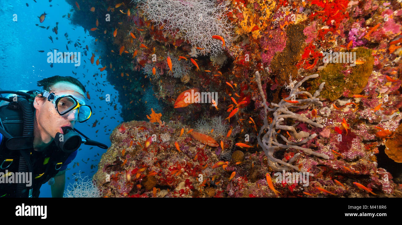 Junger Mann Scuba diver Erkundung Coral Reef, Unterwasser Aktivitäten Stockfoto