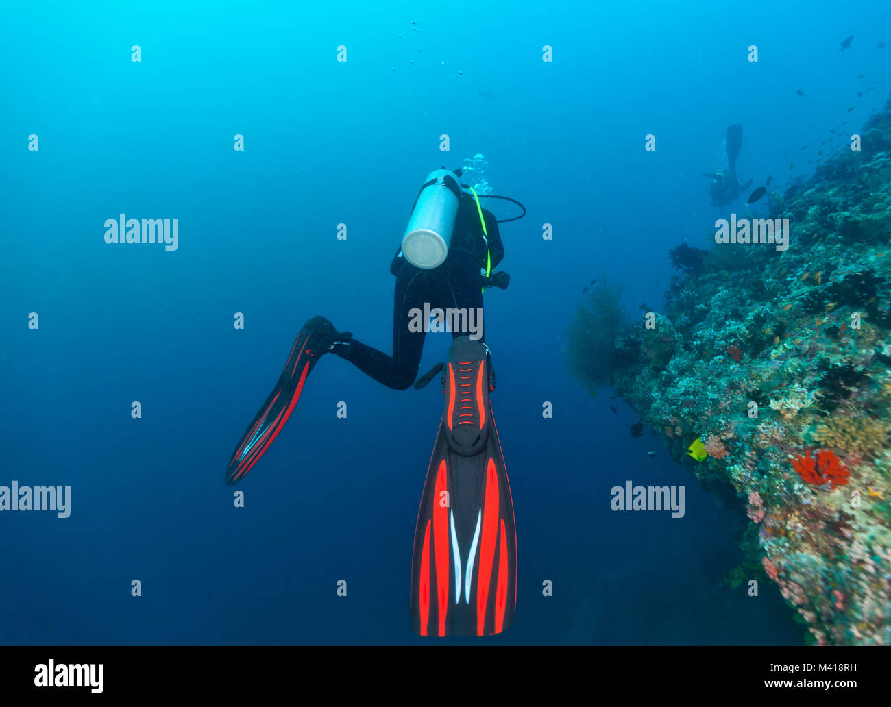 Rückansicht des Scuba diver Erkundung Coral Reef, Unterwasser Aktivitäten Stockfoto