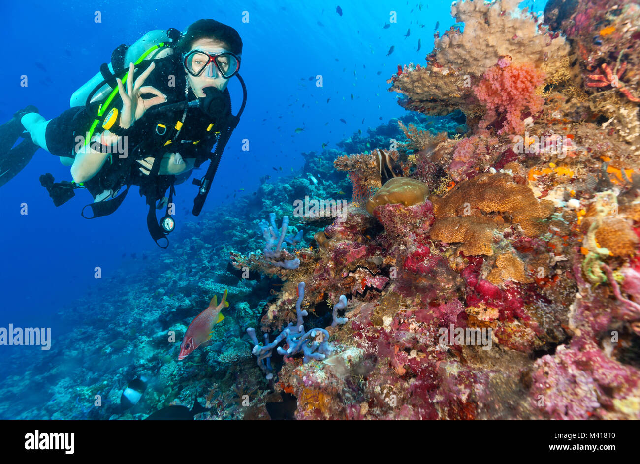 Junge Frau Scuba diver Erkundung Korallenriff und zeigen ok Zeichen, Unterwasser Sport und Aktivitäten Stockfoto
