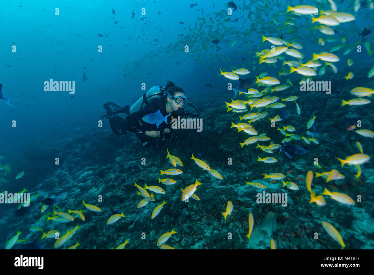 Junge Frau Scuba diver Erkundung Coral Reef, Unterwasser Aktivitäten Stockfoto