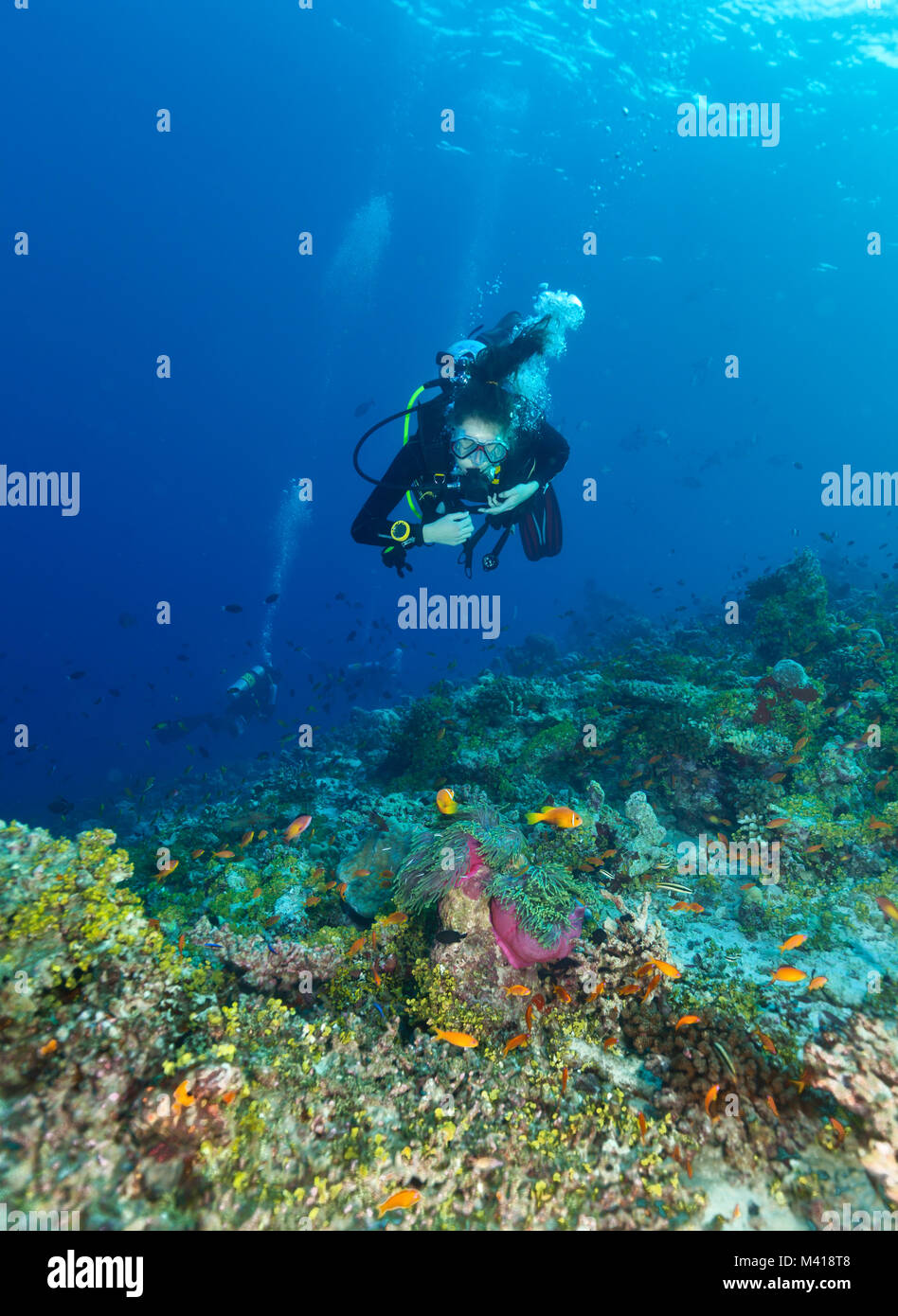 Junge Frau Scuba diver Erkundung Coral Reef, Unterwasser Aktivitäten Stockfoto
