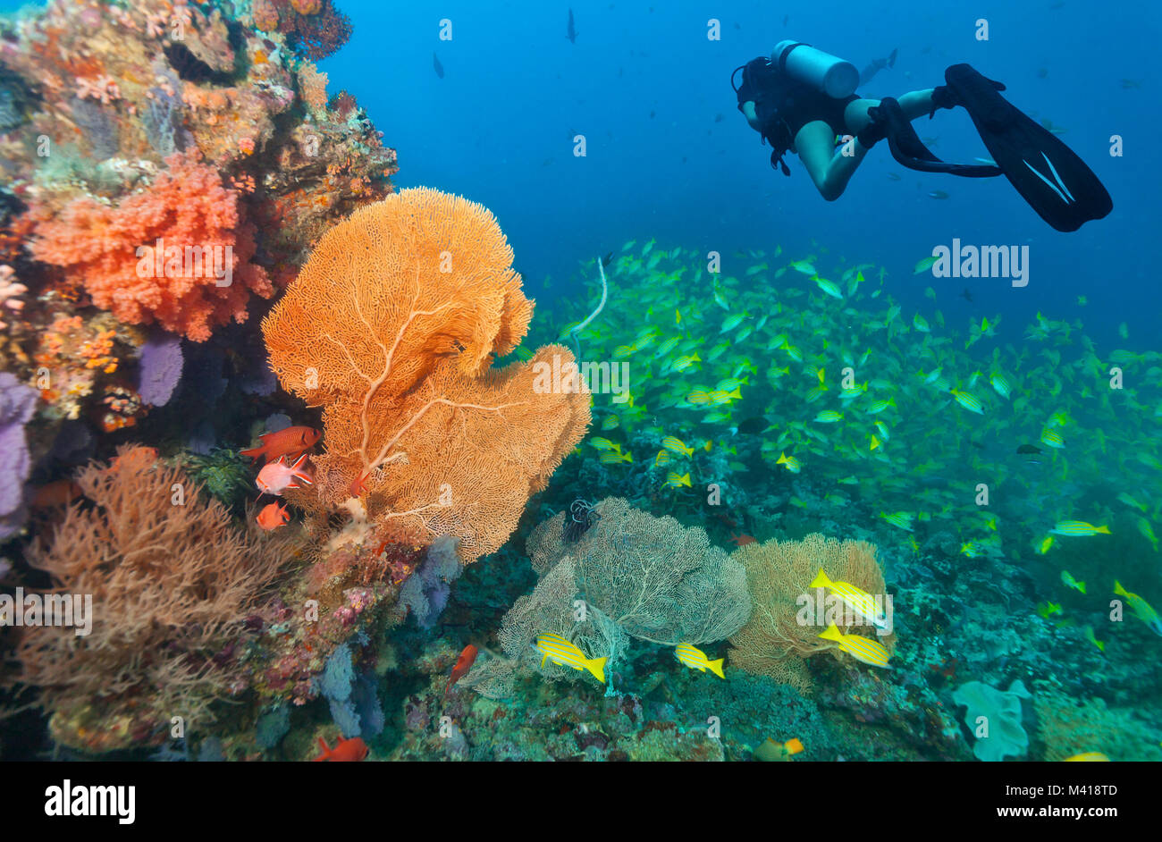 Junge Frau Scuba diver Erkundung Coral Reef, Unterwasser Aktivitäten Stockfoto