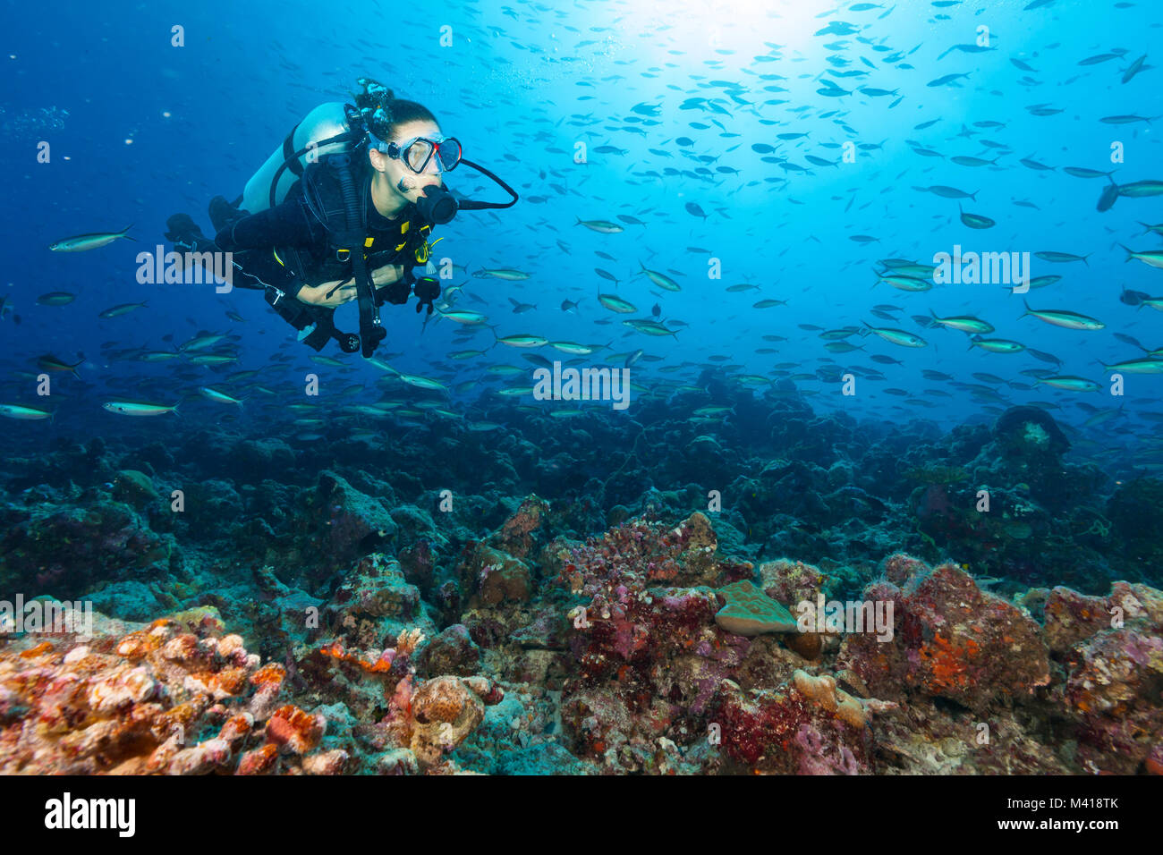 Junge Frau Scuba diver Erkundung Coral Reef, Unterwasser Aktivitäten Stockfoto