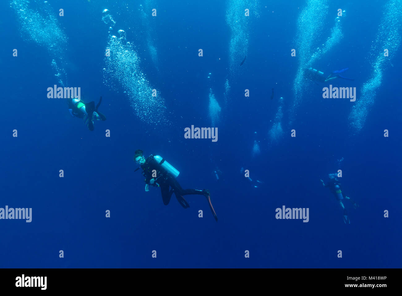 Gruppe von Tauchern in Tiefe, Unterwasserfotografie Stockfoto