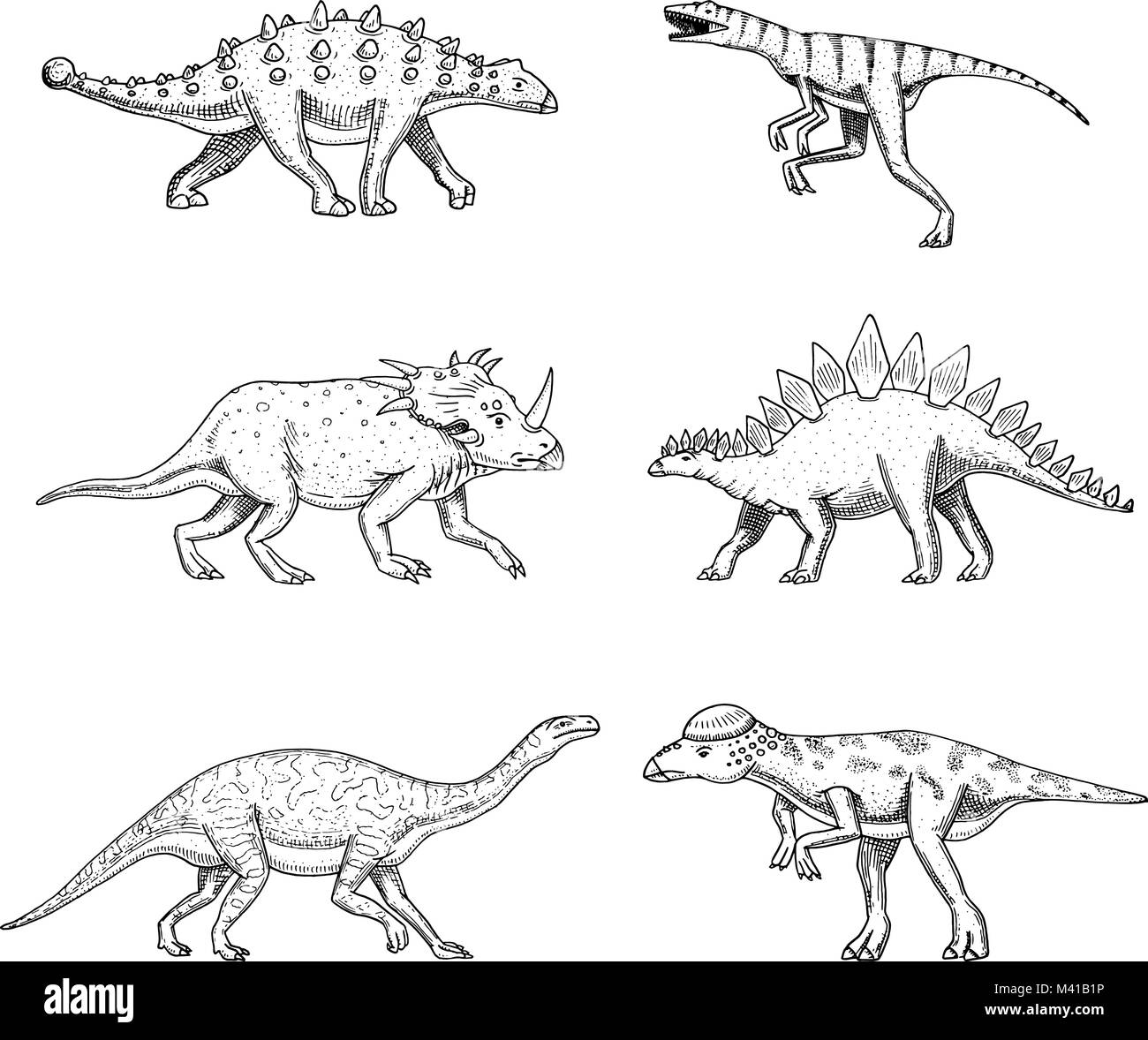 Dinosaurier, Triceratops, Barosaurus, breit Eidechse, Stegosaurus, Pachycephalosaurus, Diplodocus, Ankylosaurus, Velociraptor, Skelette, Fossilien. Prähistorische Reptilien, Tier Hand gezeichnet Vektor. Stock Vektor
