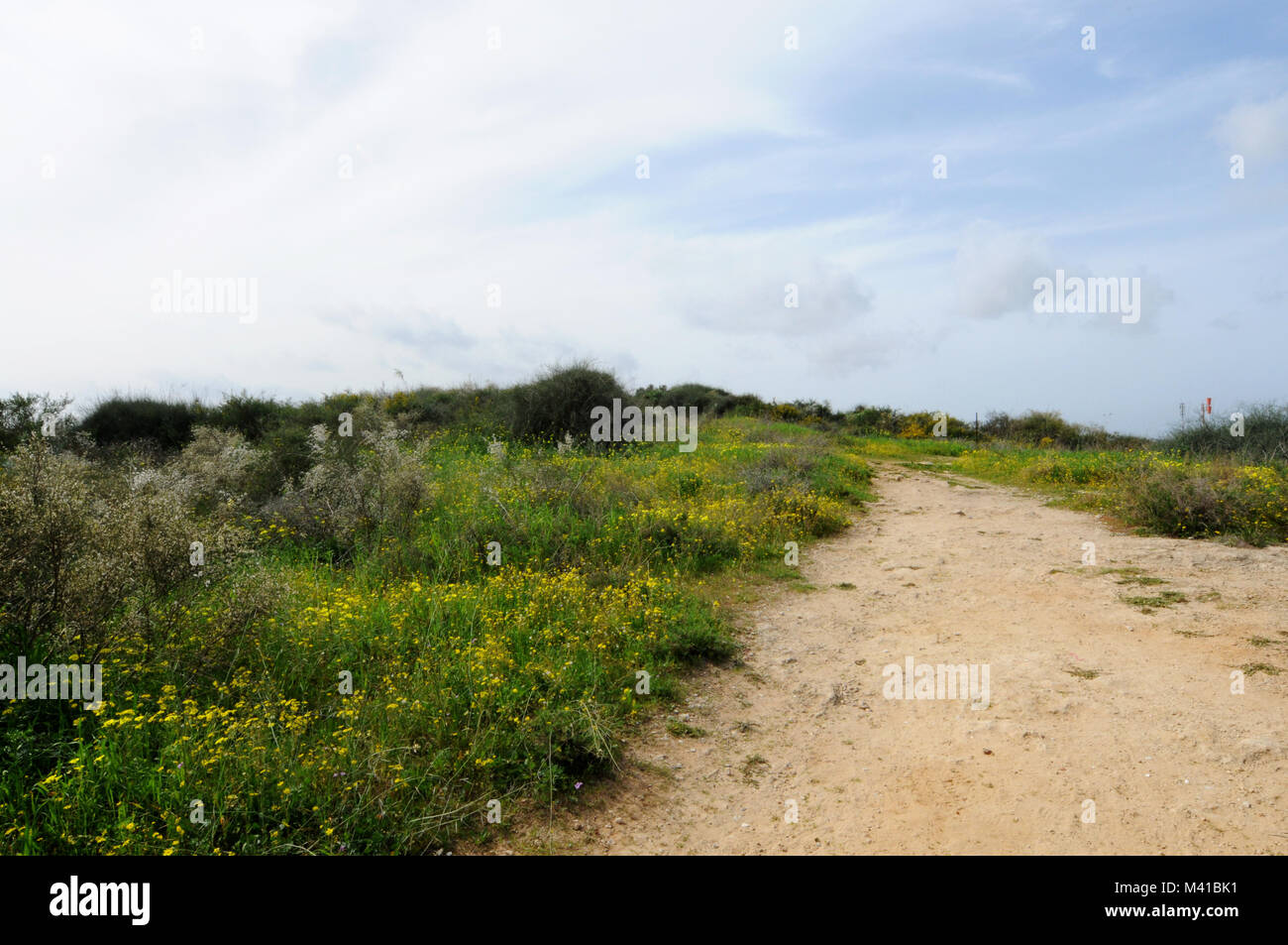 Pfad-weise in der Natur Stockfoto