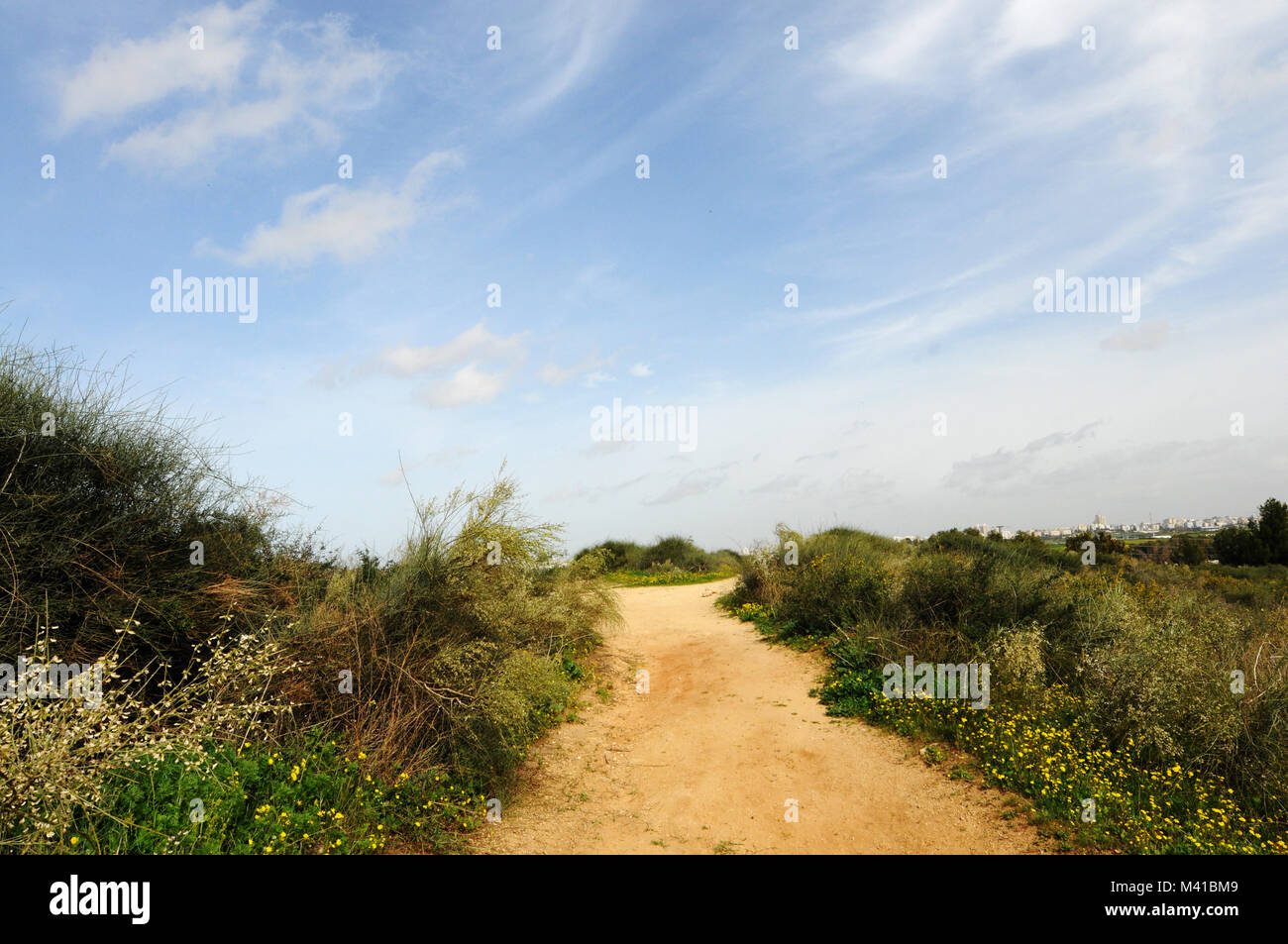 Pfad-weise in der Natur Stockfoto