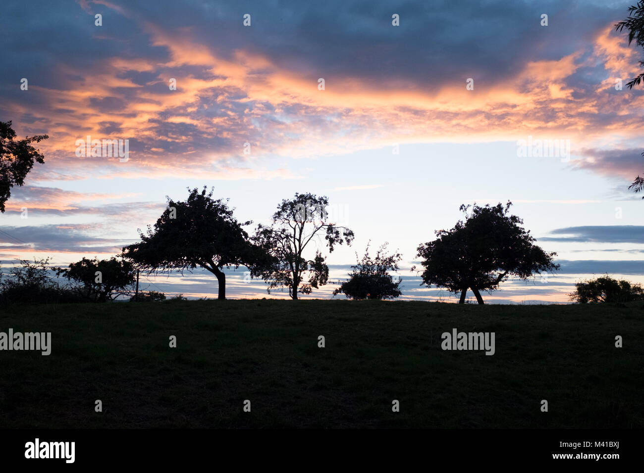 Purple Rain Himmel Stockfoto