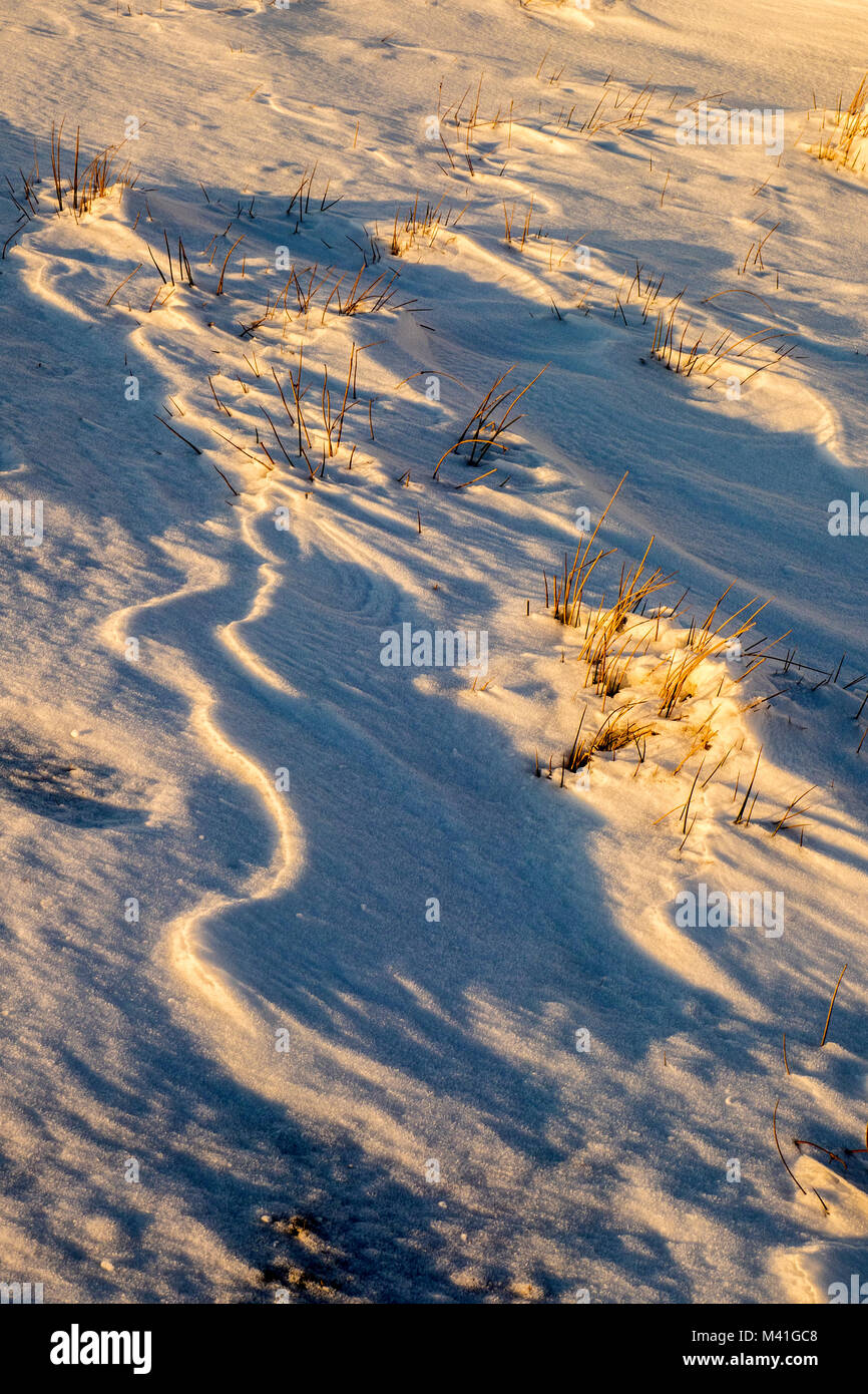 Schnee Muster in geringer Sonneneinstrahlung Stockfoto