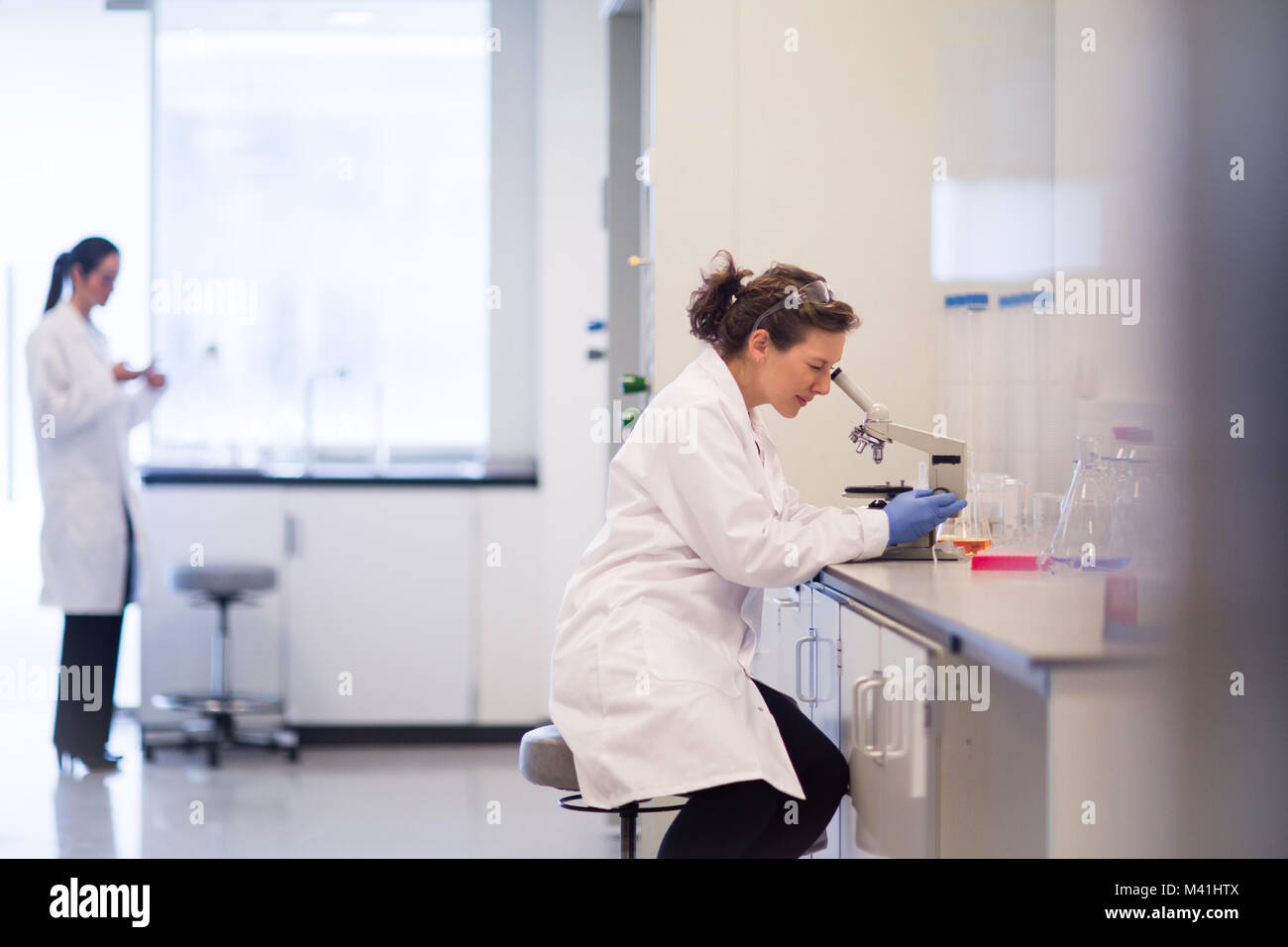 Wissenschaftlerin Durchsicht Mikroskop Stockfoto