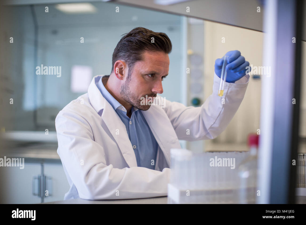 Männliche Wissenschaftler im Reagenzglas in einem Labor auf der Suche Stockfoto