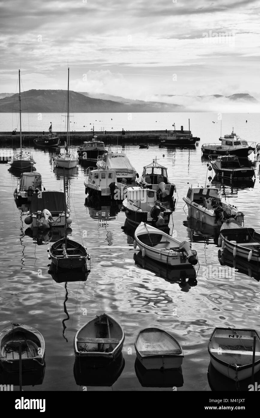 Lyme Regis Hafen am frühen Morgen. Schwarz und Weiß. Stockfoto